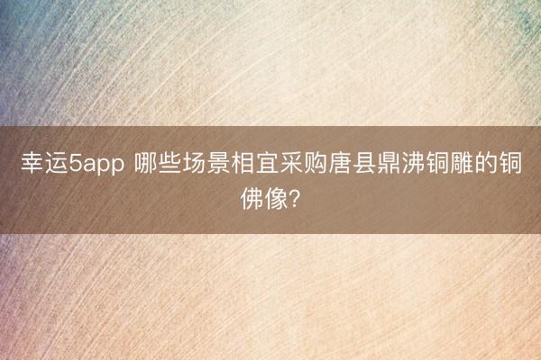幸運(yùn)5app 哪些場(chǎng)景相宜采購(gòu)唐縣鼎沸銅雕的銅佛像？