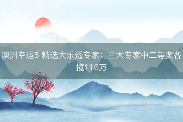 澳洲幸運(yùn)5 精選大樂(lè)透專家：三大專家中二等獎(jiǎng)各攬116萬(wàn)