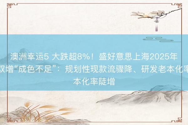 澳洲幸運5 大跌超8%！盛好意思上海2025年牟利雙增“成色不足”：規劃性現款流驟降、研發老本化率陡增